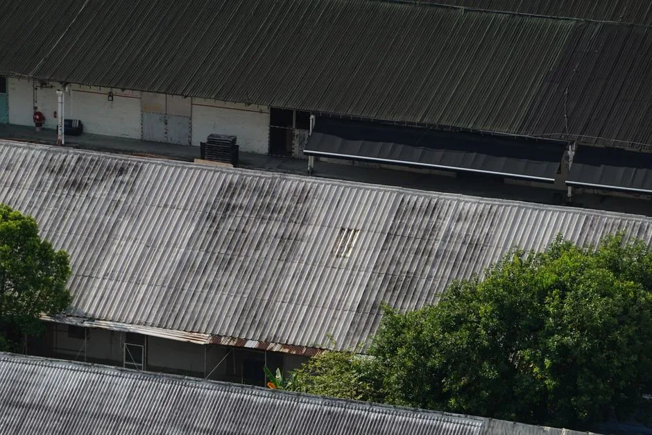 Epdm Roofing in Whitby